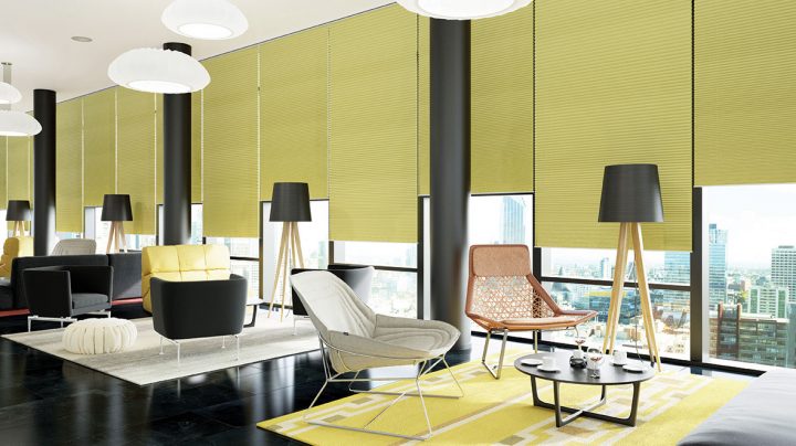 Pleated Blinds